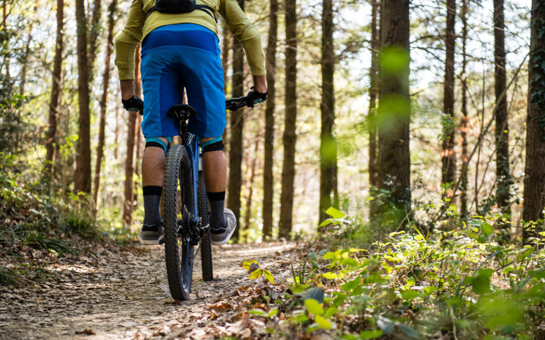 Activité Jogging VTT au Relais des Ingénieurs