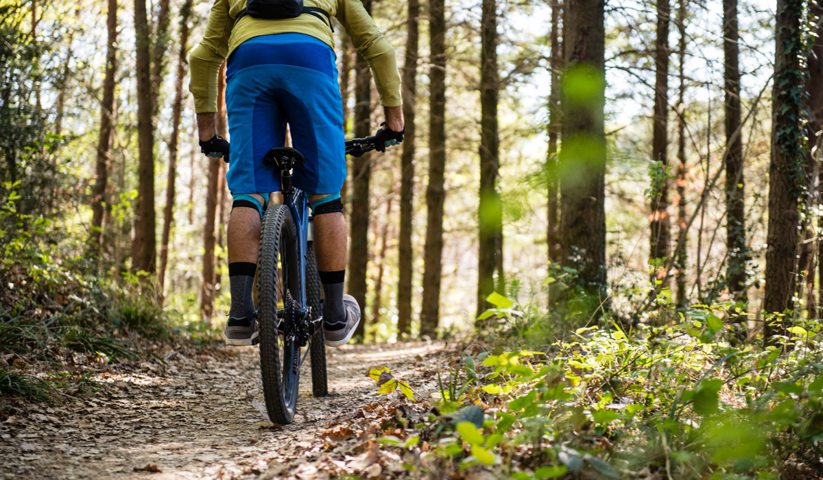 Activité Jogging VTT au Relais des Ingénieurs